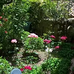 Fleurs 住宿加早餐酒店 恩纳