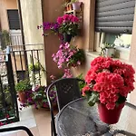 Fleurs
