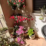 住宿加早餐酒店 Fleurs 3*