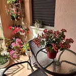 Fleurs 3*