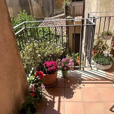 Fleurs 3* אנה