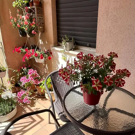 Fleurs 3*