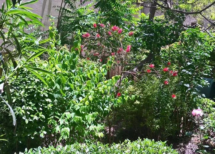 לינה וארוחת בוקר Fleurs 3*