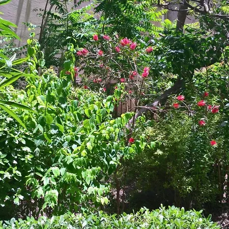 Bed & Breakfast Fleurs 3*