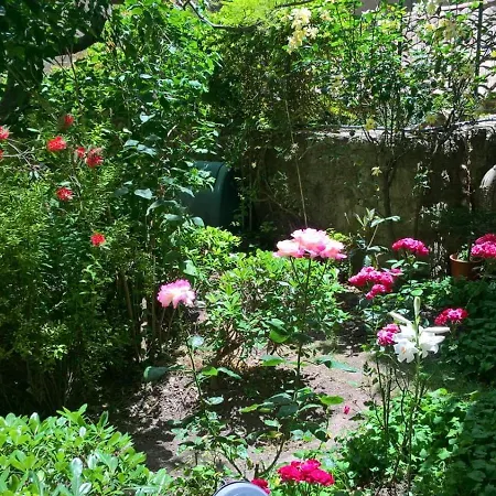 Fleurs * Enna