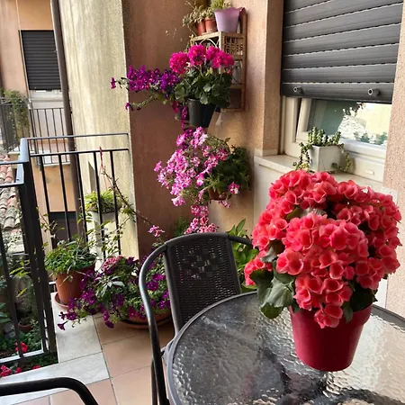 Fleurs