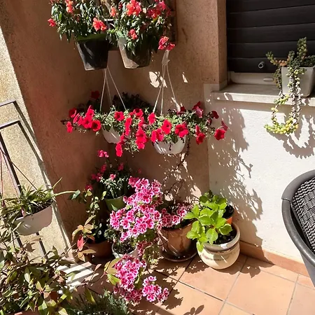 Bed & Breakfast Fleurs 3*