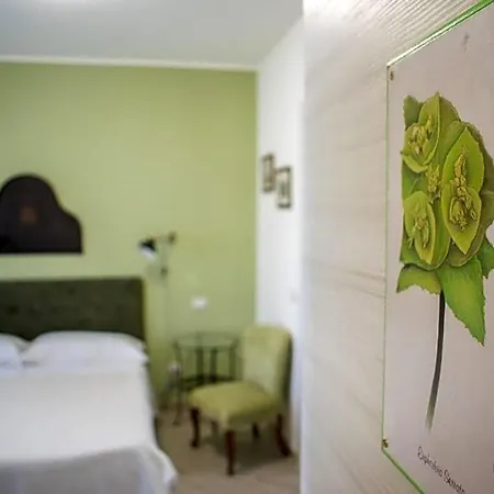 Bed & Breakfast Fleurs 3*