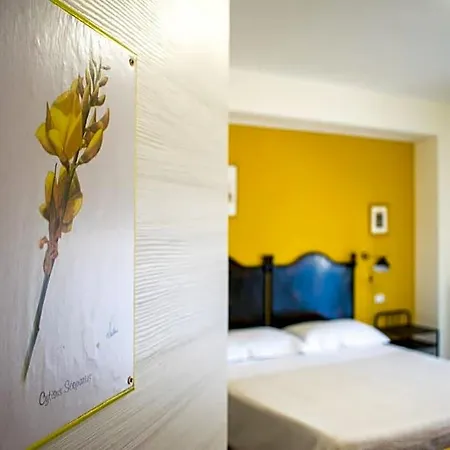 Fleurs 3*
