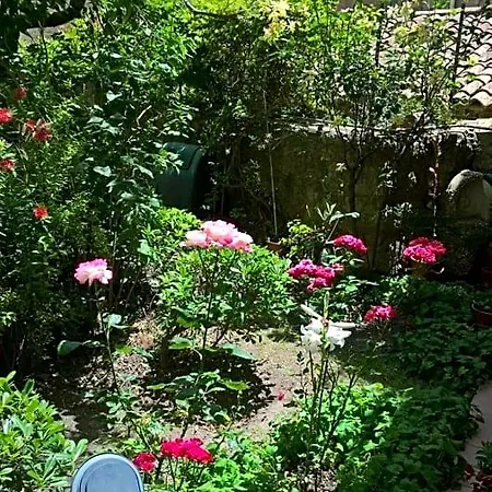 Fleurs Enna