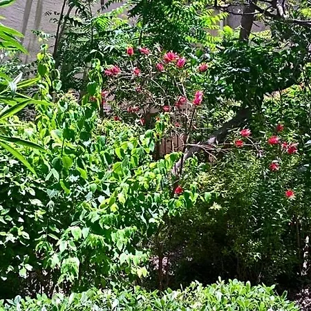Bed and breakfast Fleurs Enna