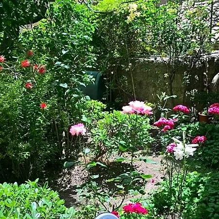 Fleurs Bed and breakfast