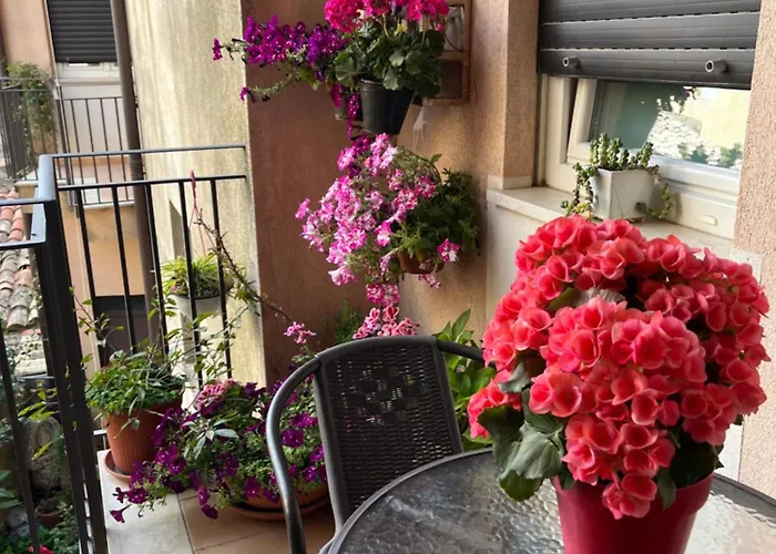 Fleurs